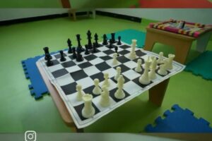 Variety of Indoor games